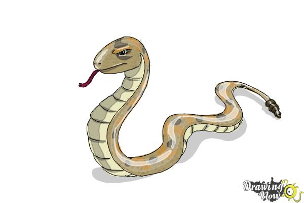 How to Draw a Snake Step by Step - Step 12