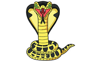 How to Draw a Snake