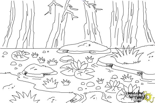 How to Draw a Swamp - Step 8 How to Draw a Swamp - Step 8
