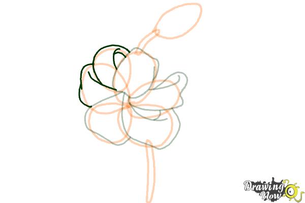 How to Draw a Tiger Lily - Step 6