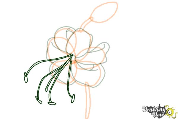 How to Draw a Tiger Lily - Step 7