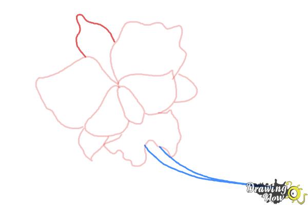 How to Draw a Violet - Step 5