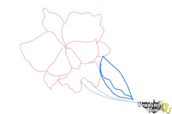 How to Draw a Violet - Step 6
