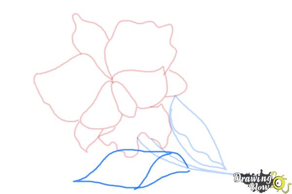 How to Draw a Violet - Step 7