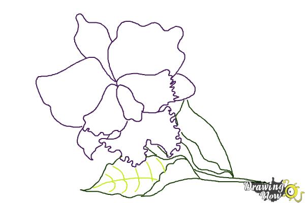 Coloring Page