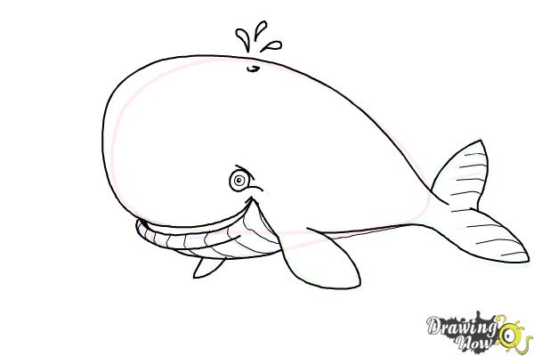 How to Draw a Whale For Kids - Step 11 How to Draw a Whale For Kids - Step 11