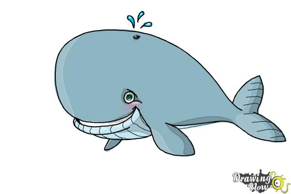 How to Draw a Whale For Kids - Step 12 How to Draw a Whale For Kids - Step 12