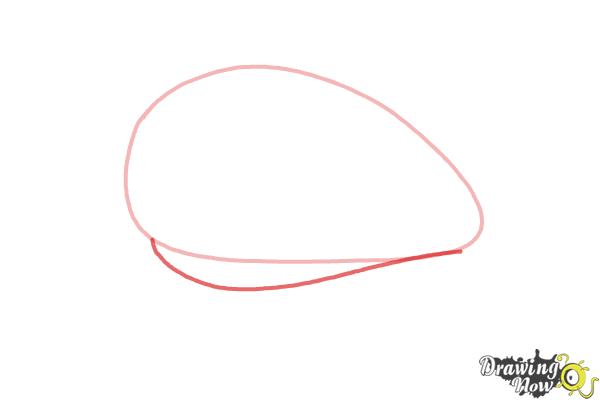 How to Draw a Whale For Kids - Step 2 How to Draw a Whale For Kids - Step 2