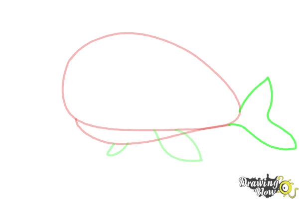 How to Draw a Whale For Kids - Step 4 How to Draw a Whale For Kids - Step 4