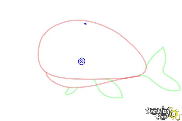 How to Draw a Whale For Kids - Step 5 How to Draw a Whale For Kids - Step 5