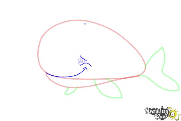How to Draw a Whale For Kids - Step 6 How to Draw a Whale For Kids - Step 6
