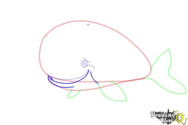 How to Draw a Whale For Kids - Step 7 How to Draw a Whale For Kids - Step 7