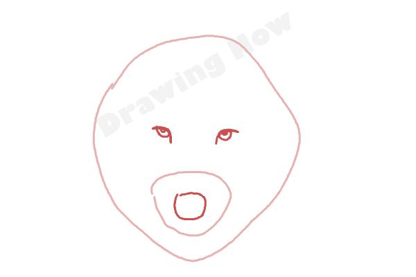 How to draw a Wolf face - Step 2 How to draw a Wolf face - Step 2