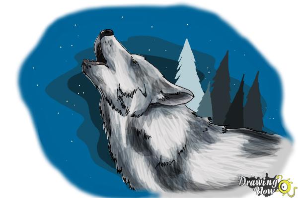 How to Draw a Wolf Howling - Step 10