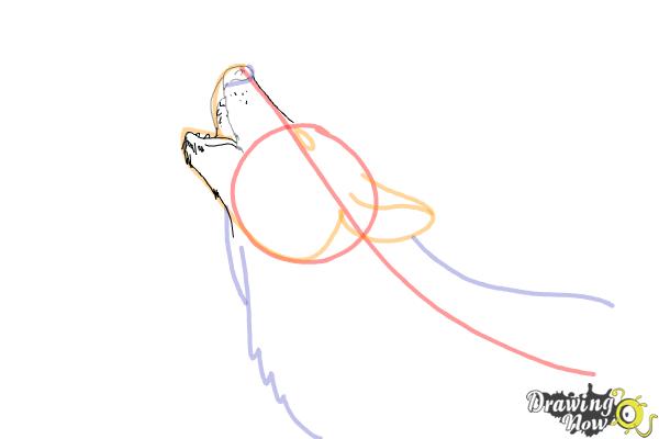 How to Draw a Wolf Howling - Step 5