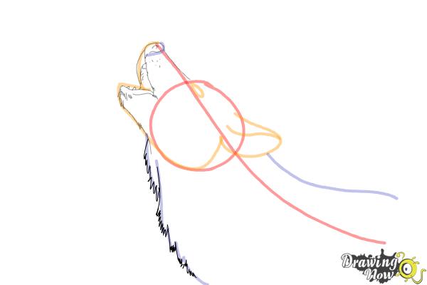 How to Draw a Wolf Howling - Step 6