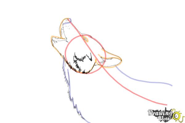 How to Draw a Wolf Howling - Step 8