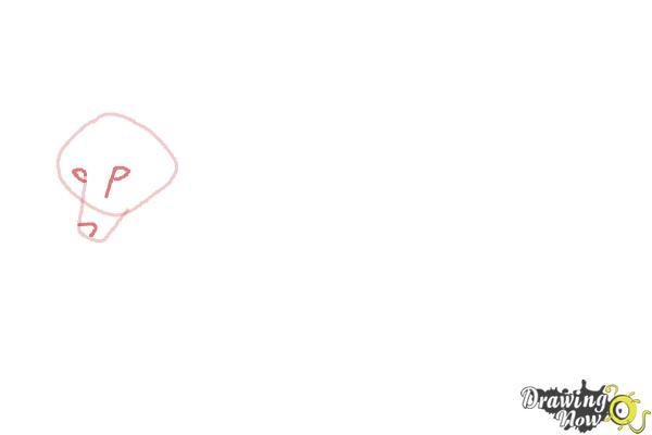 How to Draw a Wolf - Maned Wolf - Step 2 How to Draw a Wolf - Maned Wolf - Step 2