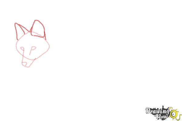 How to Draw a Wolf - Maned Wolf - Step 3 How to Draw a Wolf - Maned Wolf - Step 3