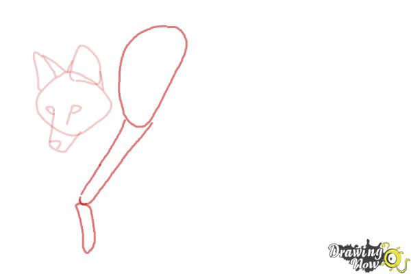 How to Draw a Wolf - Maned Wolf - Step 4 How to Draw a Wolf - Maned Wolf - Step 4