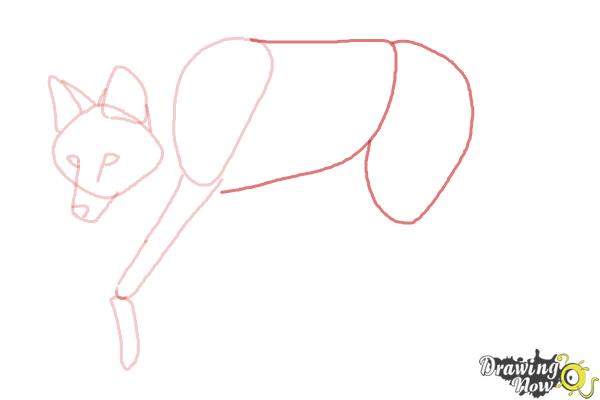 How to Draw a Wolf - Maned Wolf - Step 5 How to Draw a Wolf - Maned Wolf - Step 5