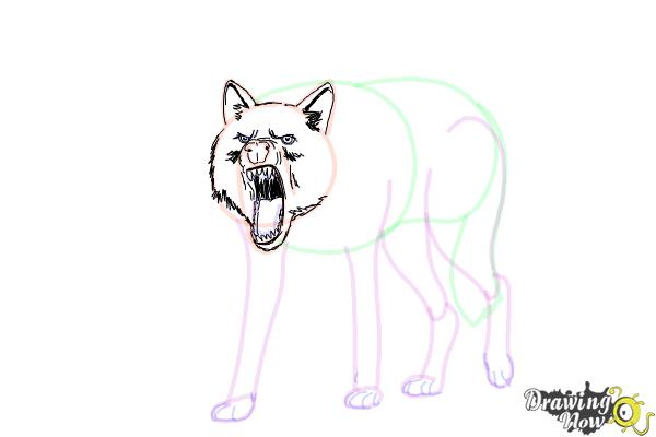 How to Draw a Wolf Step by Step - Step 13 How to Draw a Wolf Step by Step - Step 13