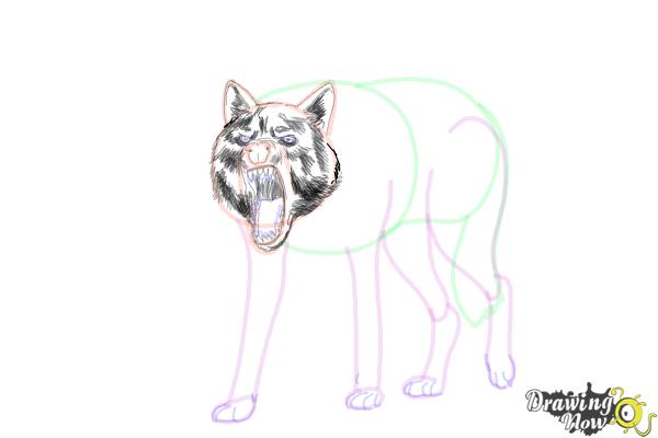 How to Draw a Wolf Step by Step - Step 14 How to Draw a Wolf Step by Step - Step 14
