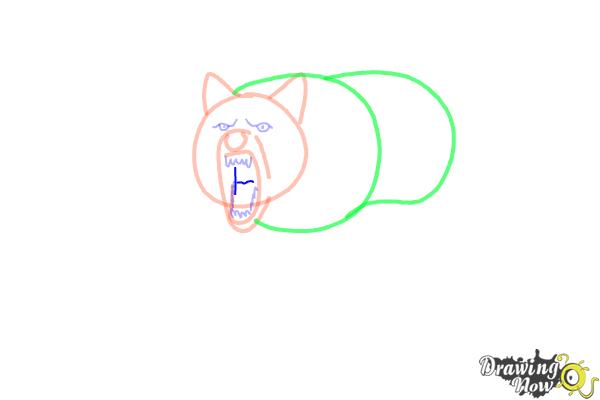 How to Draw a Wolf Step by Step - Step 6 How to Draw a Wolf Step by Step - Step 6