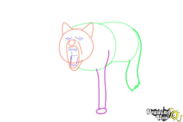 How to Draw a Wolf Step by Step - Step 7 How to Draw a Wolf Step by Step - Step 7