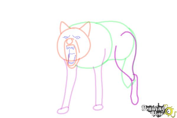 How to Draw a Wolf Step by Step - Step 9 How to Draw a Wolf Step by Step - Step 9