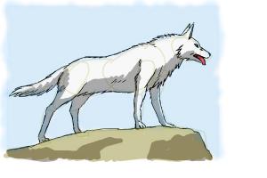 How to Draw an Anime Wolf