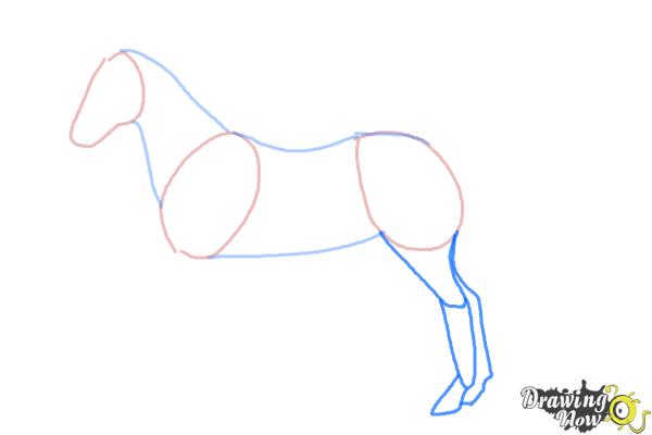 How to Draw an Easy Horse - Step 3 How to Draw an Easy Horse - Step 3