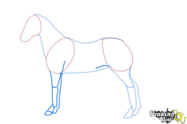 How to Draw an Easy Horse - Step 4 How to Draw an Easy Horse - Step 4