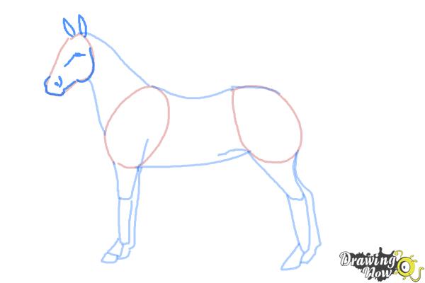 How to Draw an Easy Horse - Step 5 How to Draw an Easy Horse - Step 5