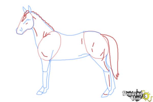 How to Draw an Easy Horse - Step 6 How to Draw an Easy Horse - Step 6
