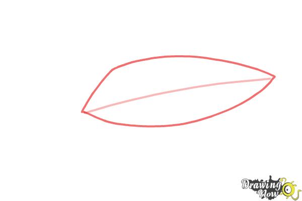 How to Draw an Eye Easy - Step 2 How to Draw an Eye Easy - Step 2