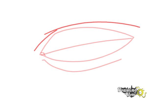 How to Draw an Eye Easy - Step 4 How to Draw an Eye Easy - Step 4