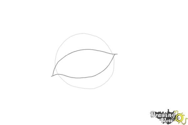 How to Draw an Eyeliner - Step 2 How to Draw an Eyeliner - Step 2