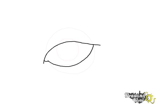 How to Draw an Eyeliner - Step 4 How to Draw an Eyeliner - Step 4