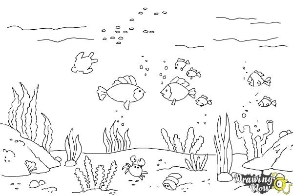 How to Draw an Underwater Scenehow to Draw an Underwater Scene - Step 9 How to Draw an Underwater Scenehow to Draw an Underwater Scene - Step 9