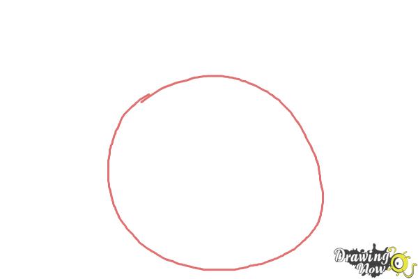 How to Draw Angry Bird Stella, Pink Bird - Step 1 How to Draw Angry Bird Stella, Pink Bird - Step 1