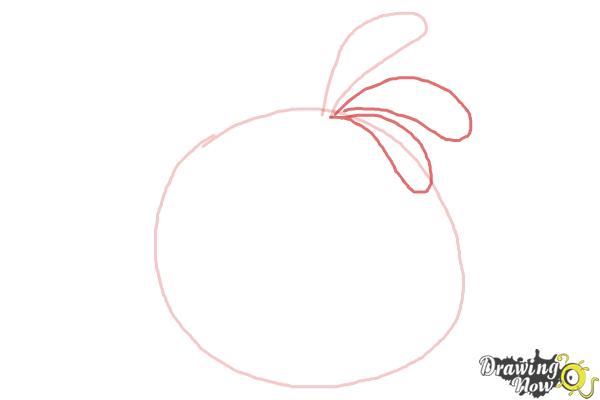How to Draw Angry Bird Stella, Pink Bird - Step 3 How to Draw Angry Bird Stella, Pink Bird - Step 3