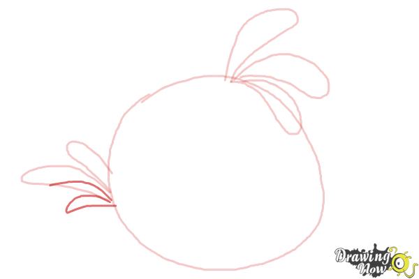 How to Draw Angry Bird Stella, Pink Bird - Step 5 How to Draw Angry Bird Stella, Pink Bird - Step 5