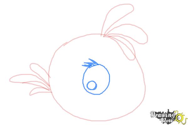 How to Draw Angry Bird Stella, Pink Bird - Step 6 How to Draw Angry Bird Stella, Pink Bird - Step 6