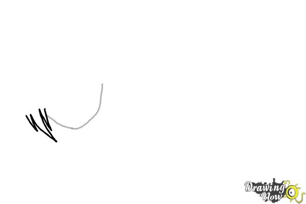 How to Draw Anime Girl Hair - Step 2 How to Draw Anime Girl Hair - Step 2
