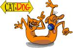 How to Draw Cat And Dog