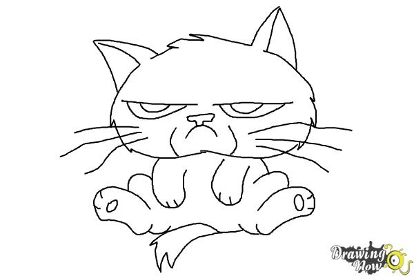 How to Draw Chibi Grumpy Cat - Step 8 How to Draw Chibi Grumpy Cat - Step 8
