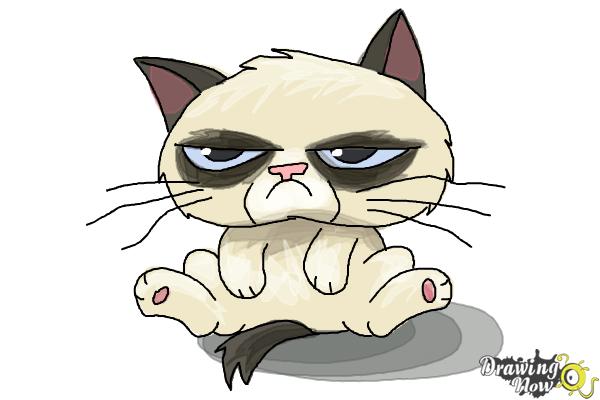 How to Draw Chibi Grumpy Cat - Step 9 How to Draw Chibi Grumpy Cat - Step 9