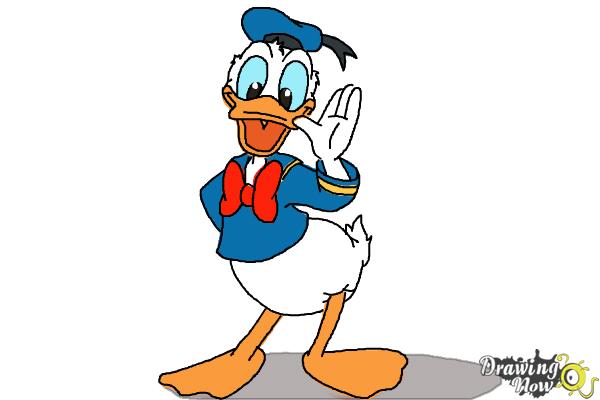 How to Draw Disney Characters - Donald Duck - Step 11 How to Draw Disney Characters - Donald Duck - Step 11