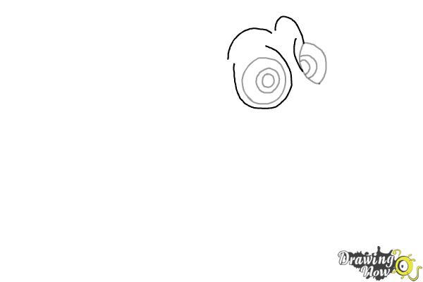 How to Draw Dory from Finding Dory - Step 2 How to Draw Dory from Finding Dory - Step 2